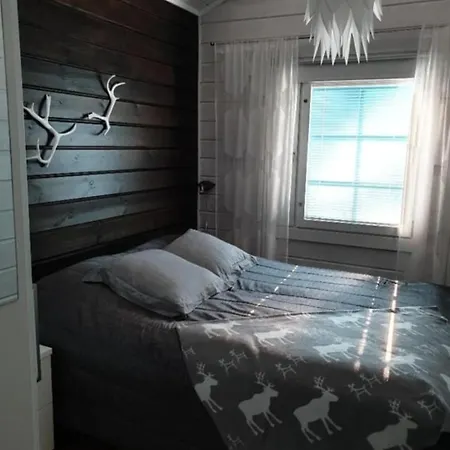 Boazu Reindeer * Ylläsjärvi
